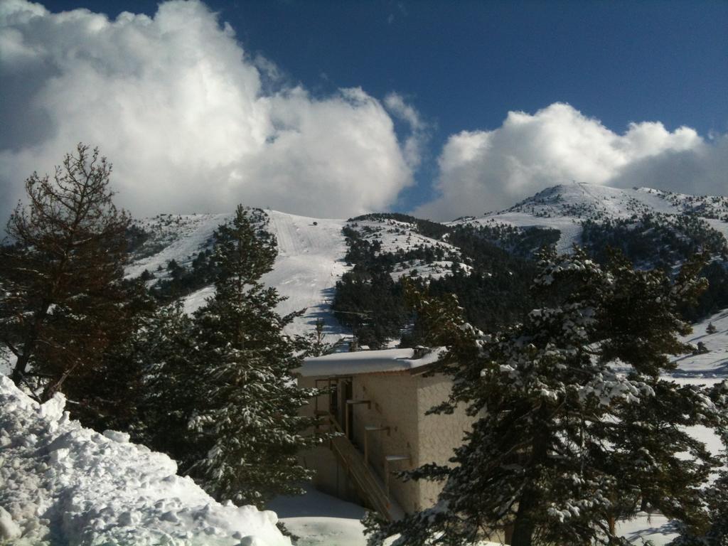 Apartment Face Aux Pistes Greolieres les Neiges Eksteriør billede
