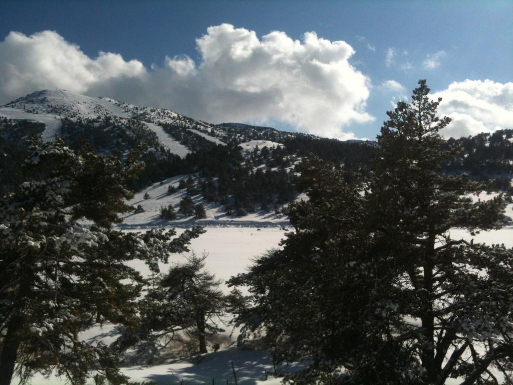 Apartment Face Aux Pistes Greolieres les Neiges Eksteriør billede