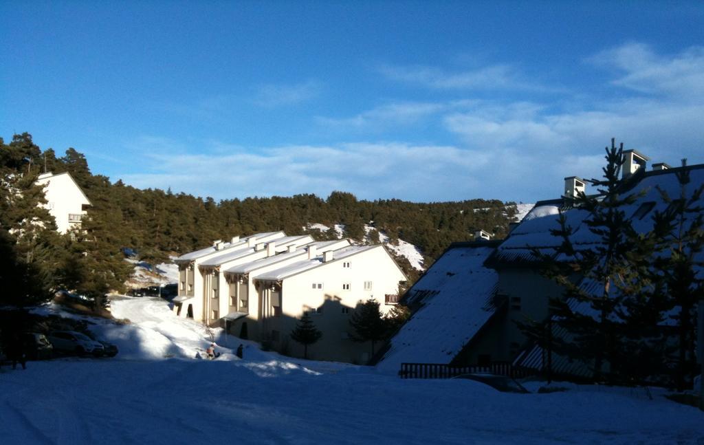 Apartment Face Aux Pistes Greolieres les Neiges Eksteriør billede