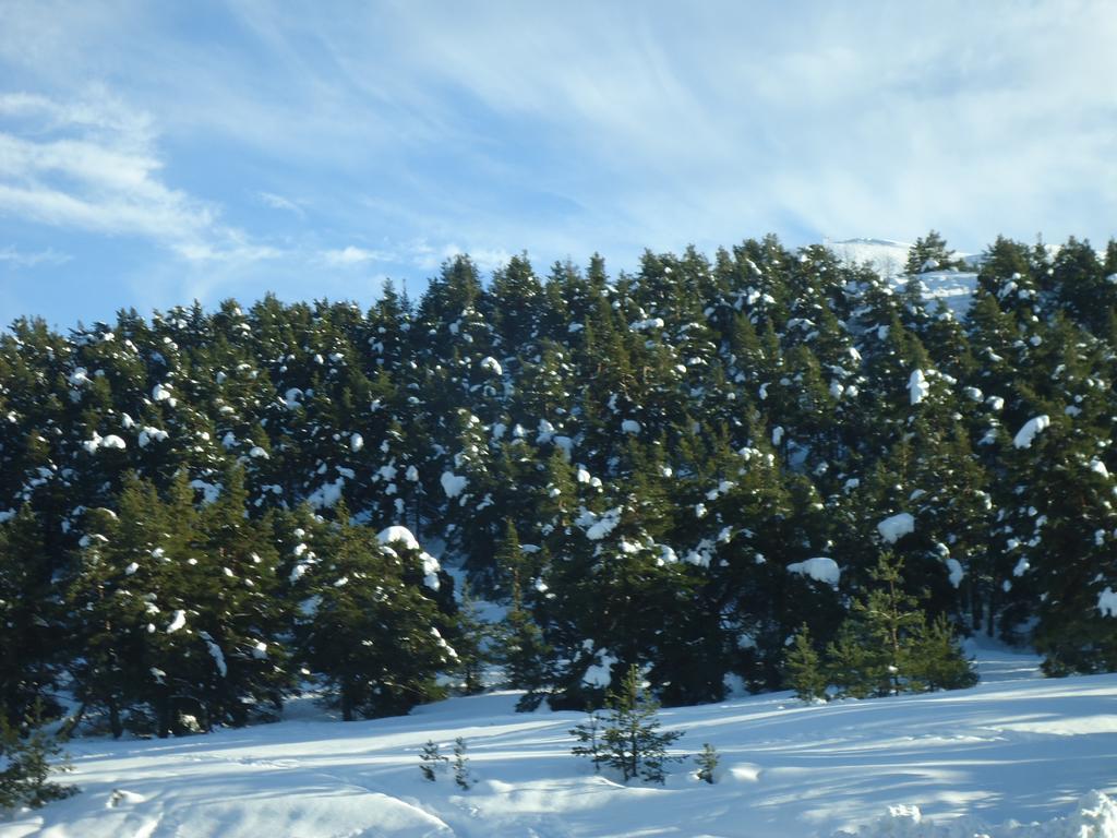Apartment Face Aux Pistes Greolieres les Neiges Eksteriør billede