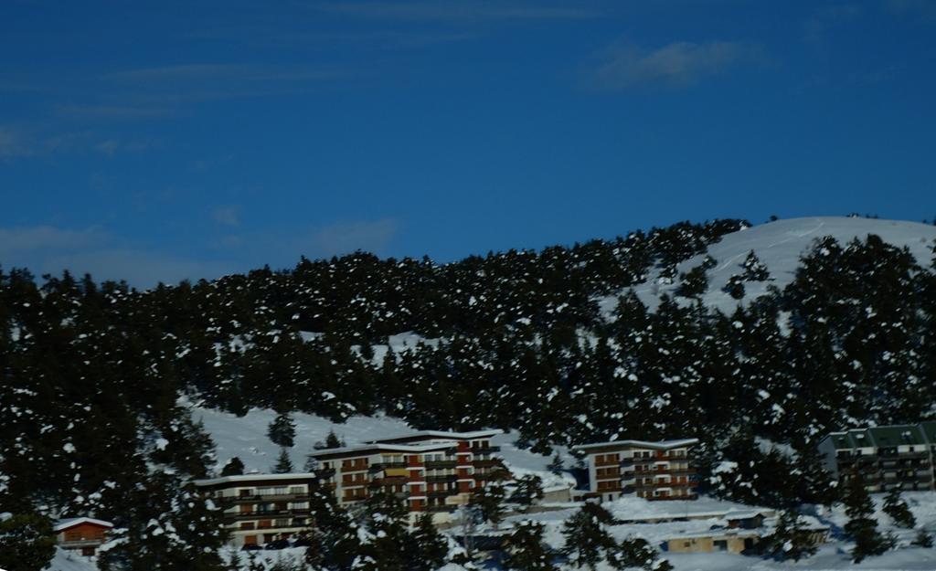 Apartment Face Aux Pistes Greolieres les Neiges Eksteriør billede