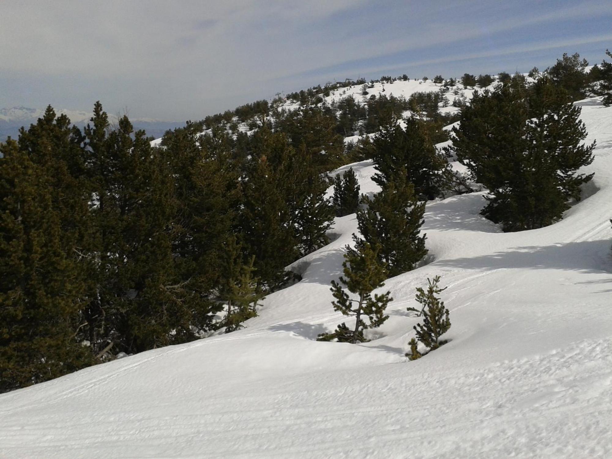 Apartment Face Aux Pistes Greolieres les Neiges Eksteriør billede