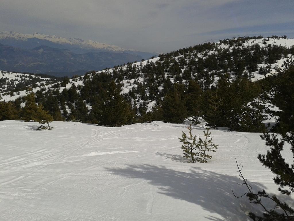 Apartment Face Aux Pistes Greolieres les Neiges Eksteriør billede