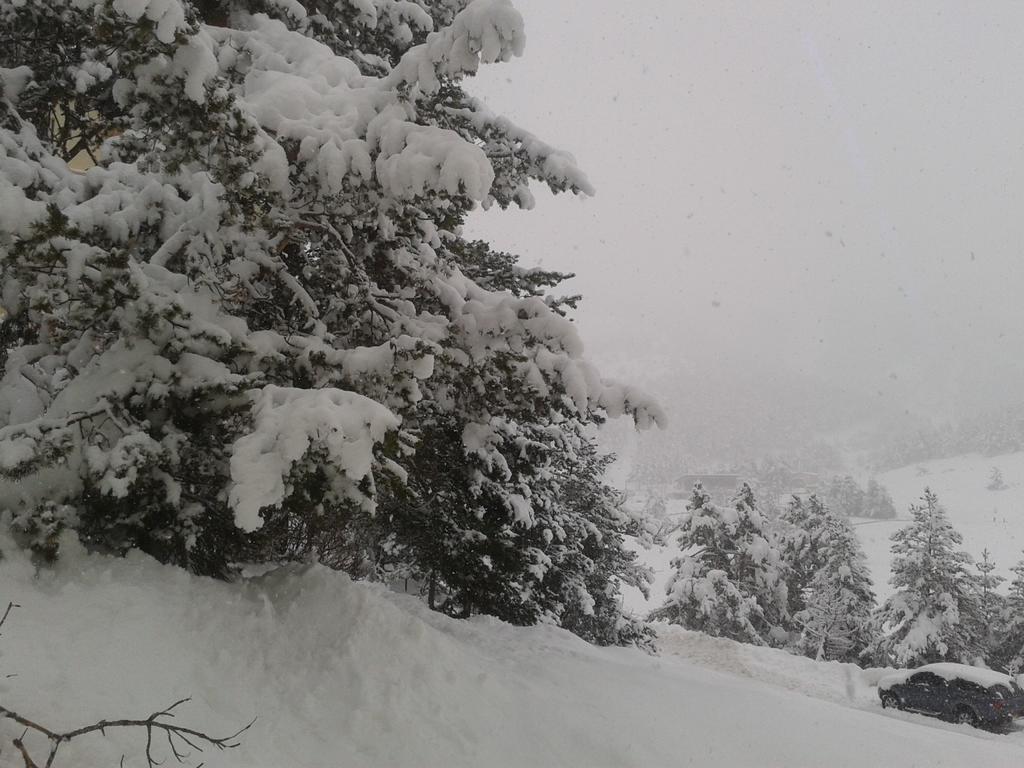 Apartment Face Aux Pistes Greolieres les Neiges Eksteriør billede
