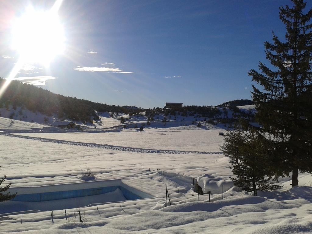 Apartment Face Aux Pistes Greolieres les Neiges Eksteriør billede