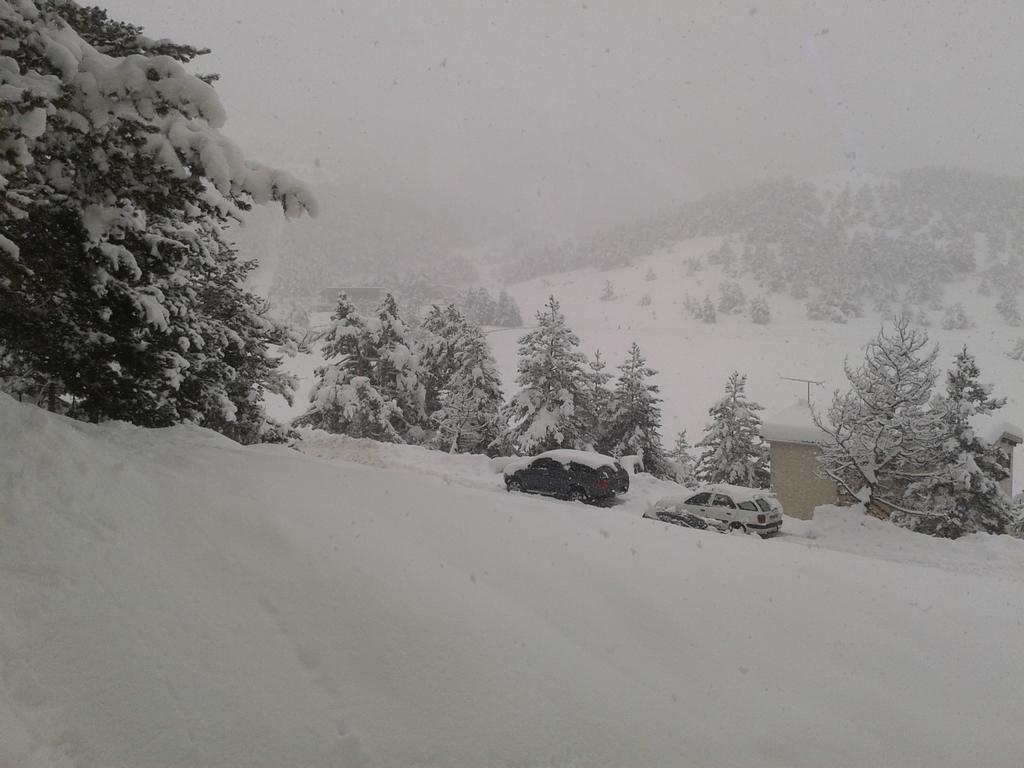 Apartment Face Aux Pistes Greolieres les Neiges Eksteriør billede