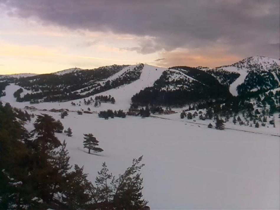 Apartment Face Aux Pistes Greolieres les Neiges Eksteriør billede