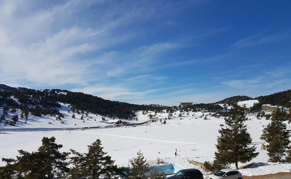 Apartment Face Aux Pistes Greolieres les Neiges Eksteriør billede
