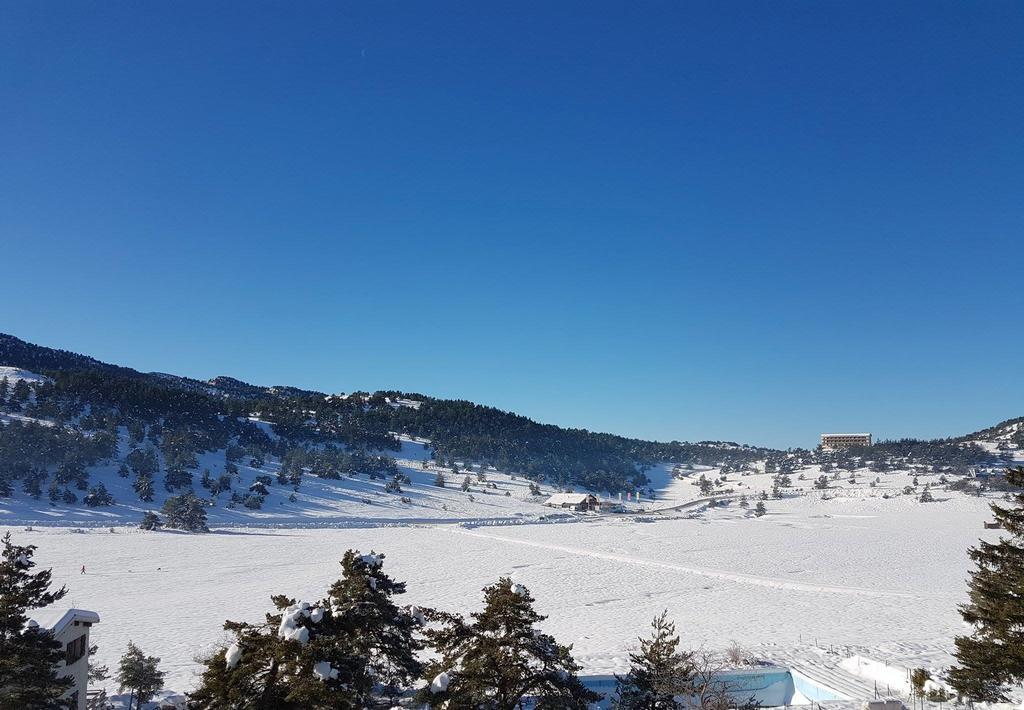 Apartment Face Aux Pistes Greolieres les Neiges Eksteriør billede