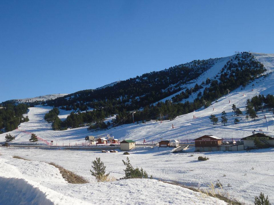 Apartment Face Aux Pistes Greolieres les Neiges Eksteriør billede