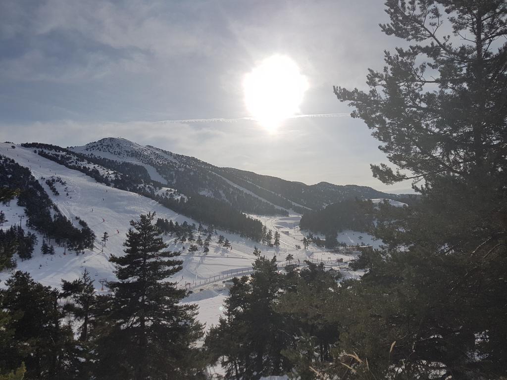 Apartment Face Aux Pistes Greolieres les Neiges Eksteriør billede